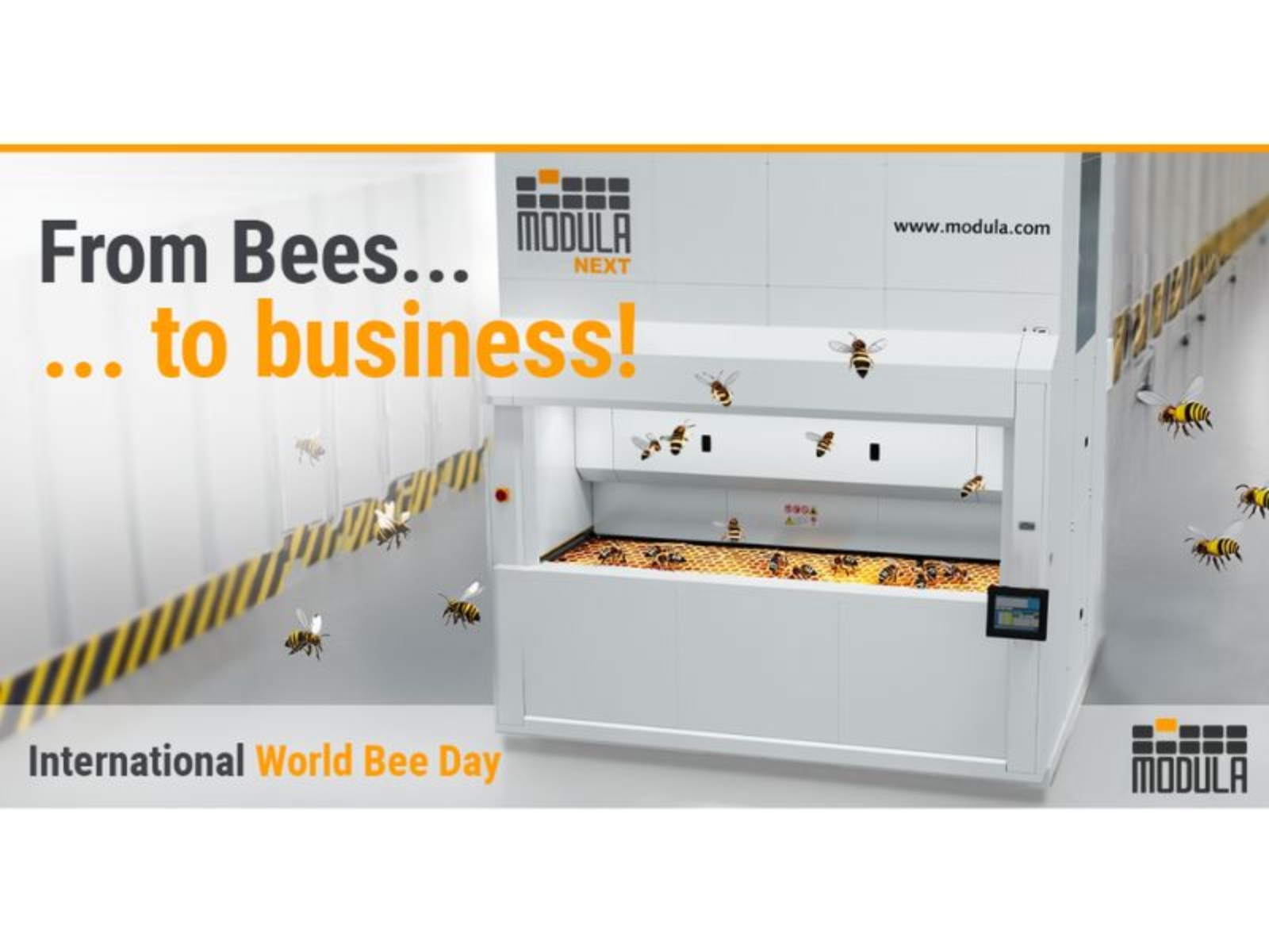 bees_modula