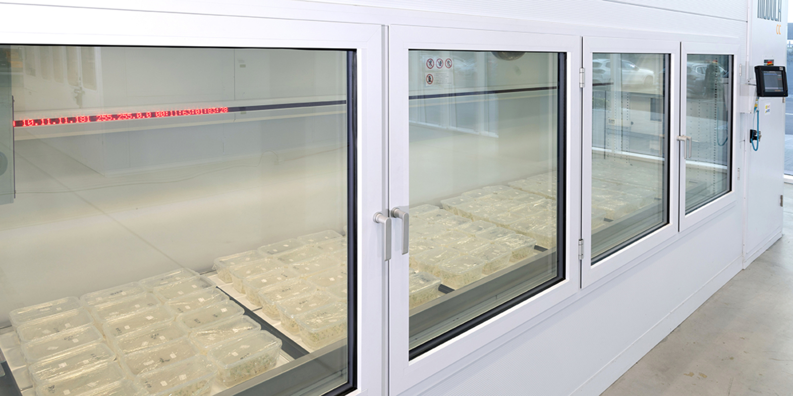 ART_MICROPROPAGAZIONE_1200x600