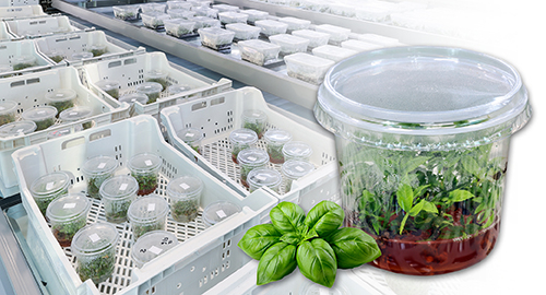Magazzini Verticali per l’agricoltura 4.0: un nuovo ecosistema Modula