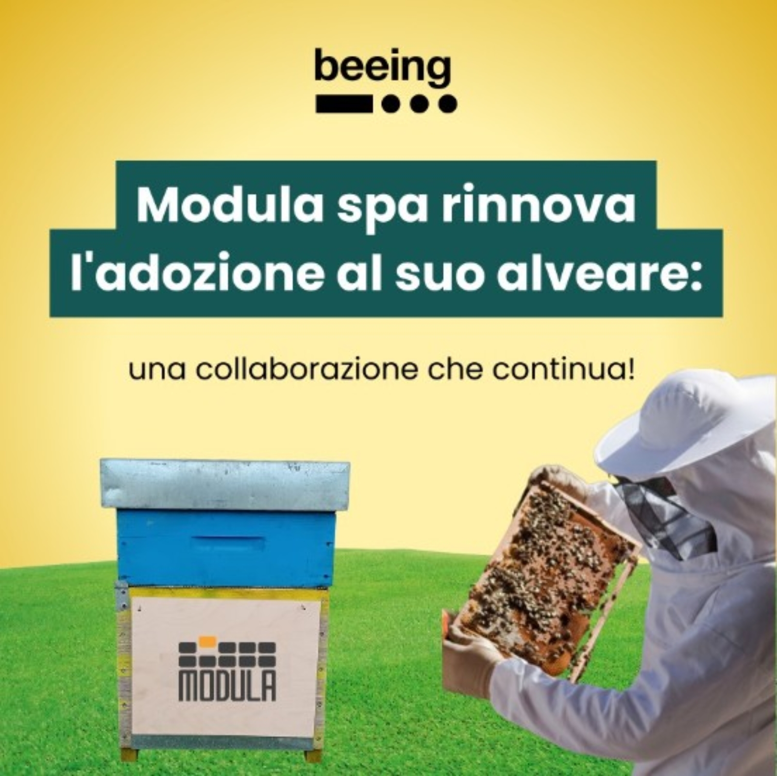 Alveare Modula