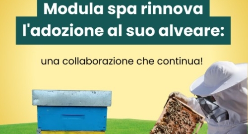 Modula: where sustainability and innovation work in unison, like in a beehive