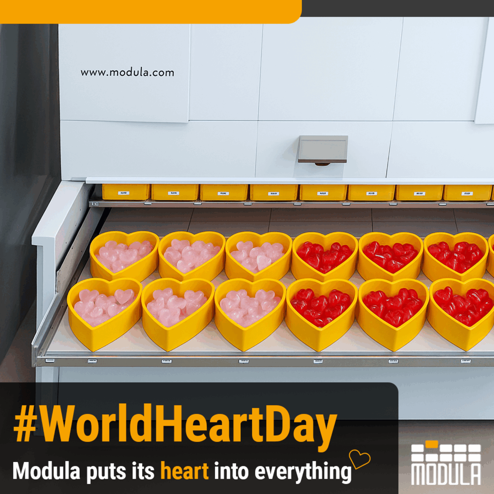 World Heart Day