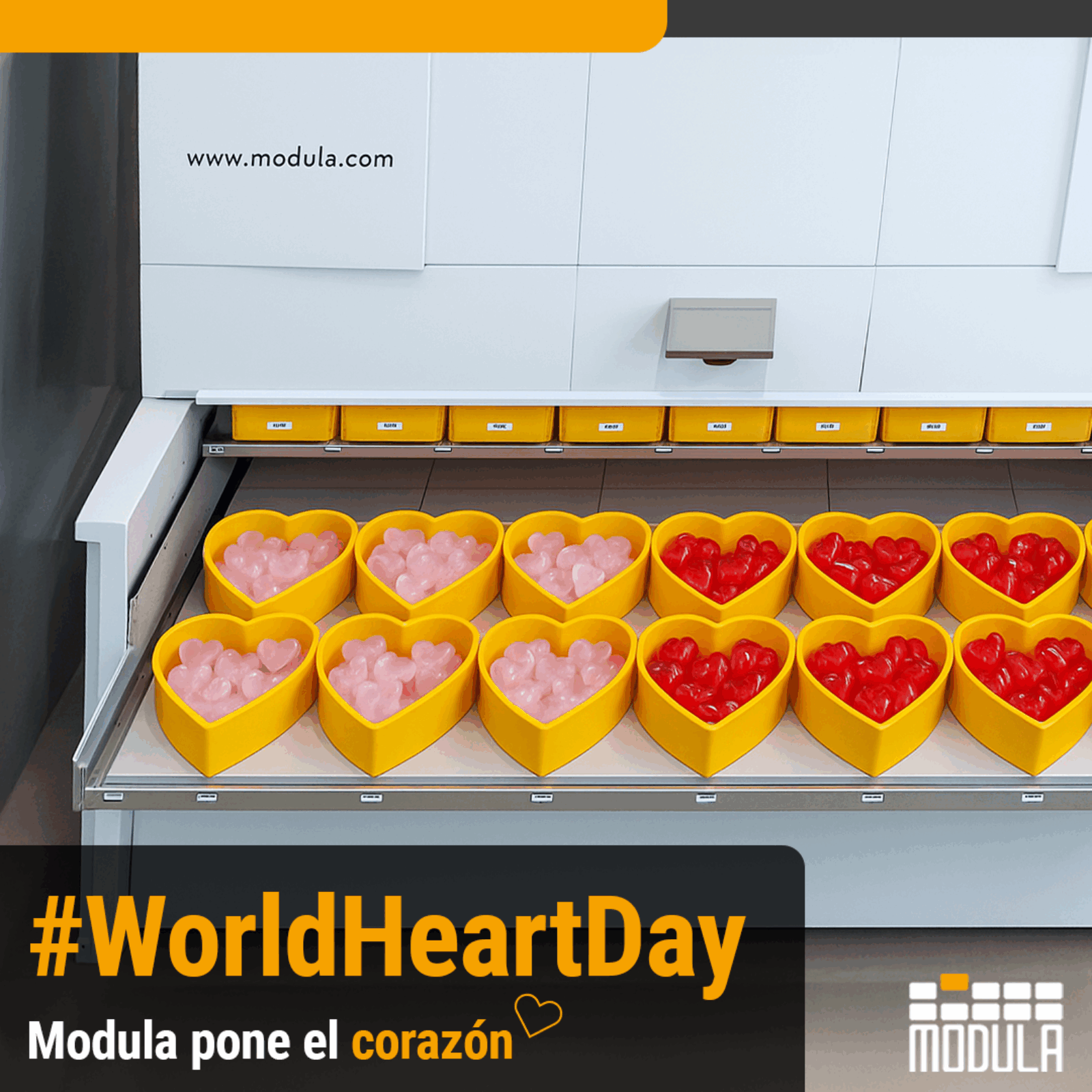 World Heart Day es