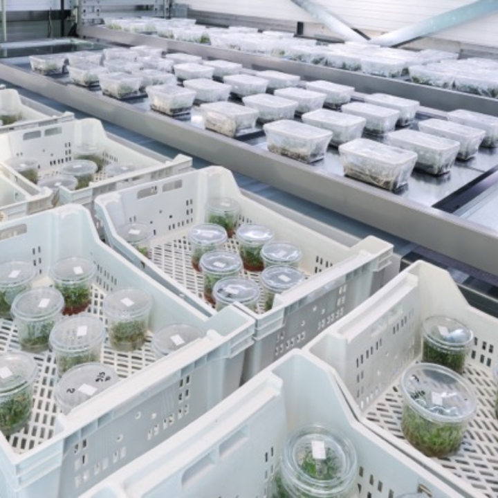 Modula Biotech Tower