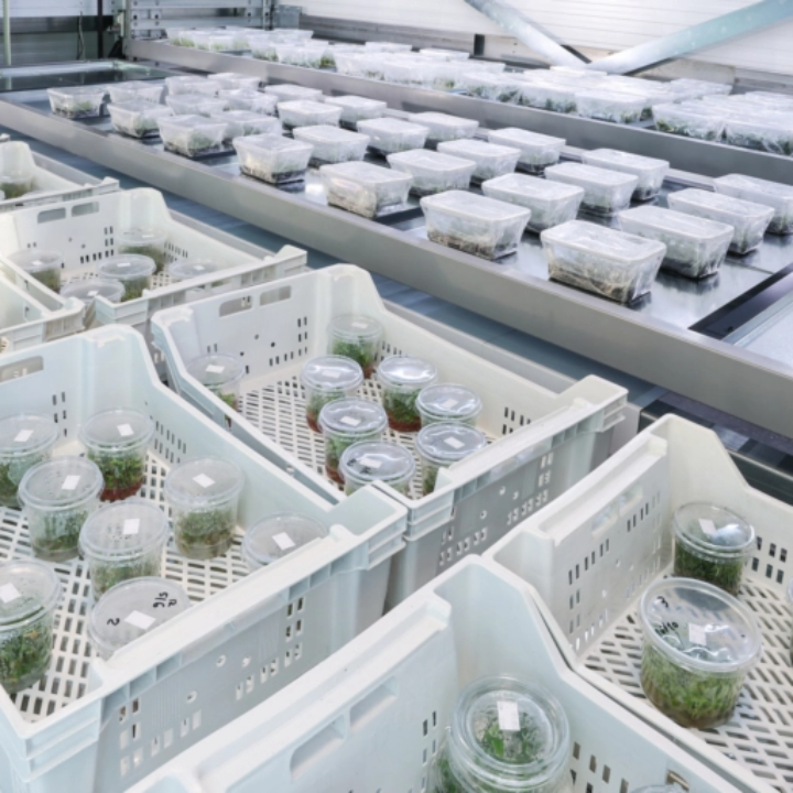 Modula Biotech Tower