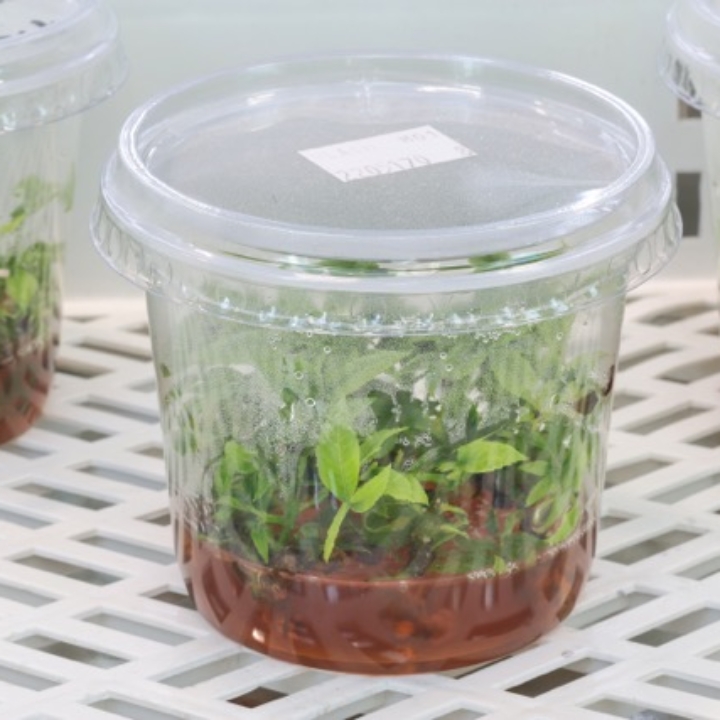 Modula Biotech Tower