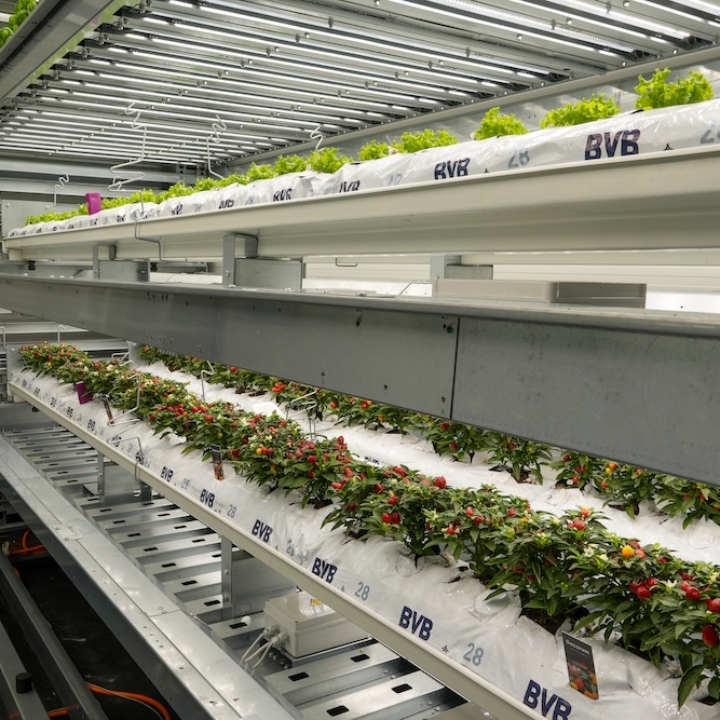 Modula Biotech Tower