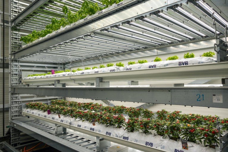 Modula Biotech Tower