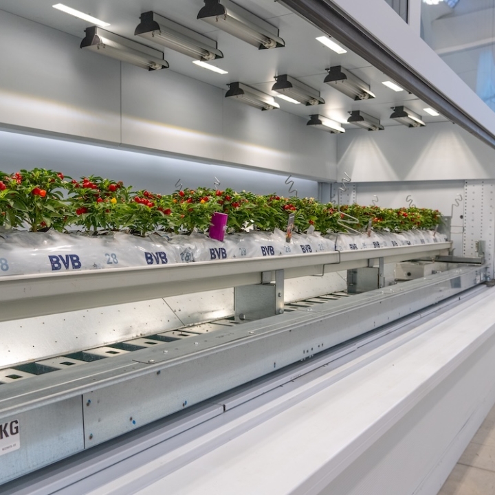 Modula Biotech Tower