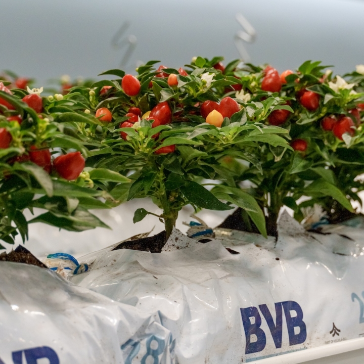 Modula Biotech Tower