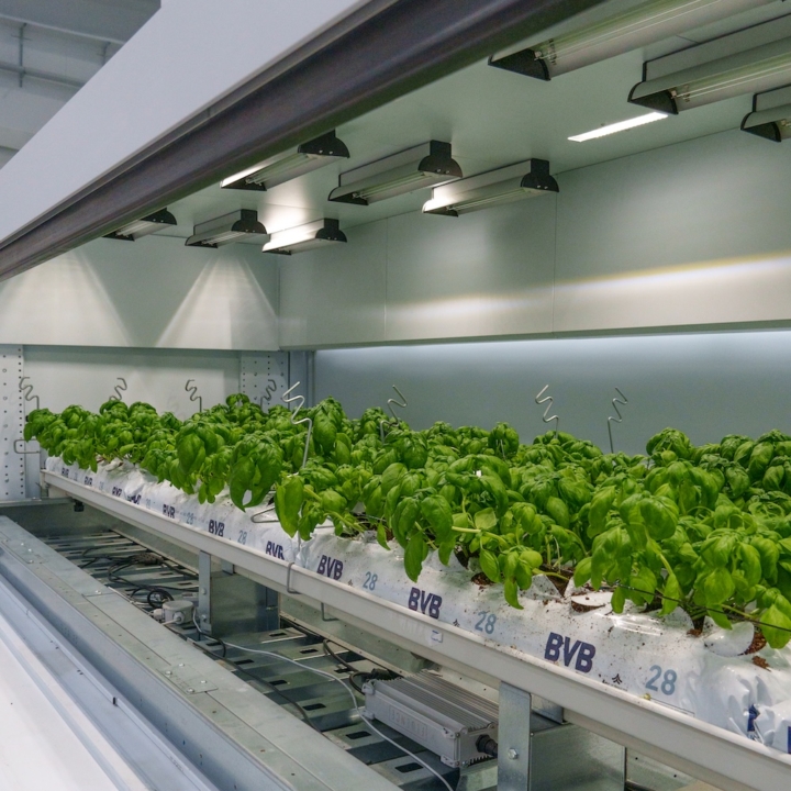 Modula Biotech Tower