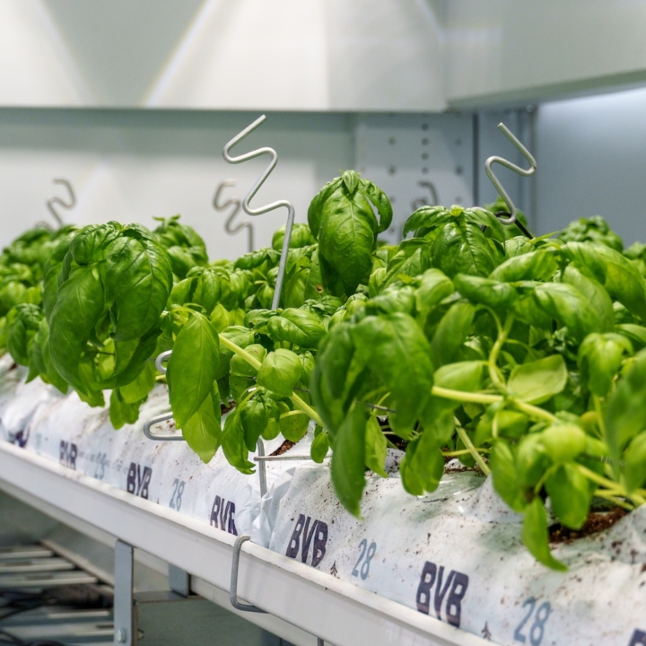 Modula Biotech Tower