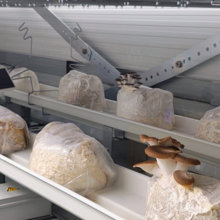 Modula Biotech Tower