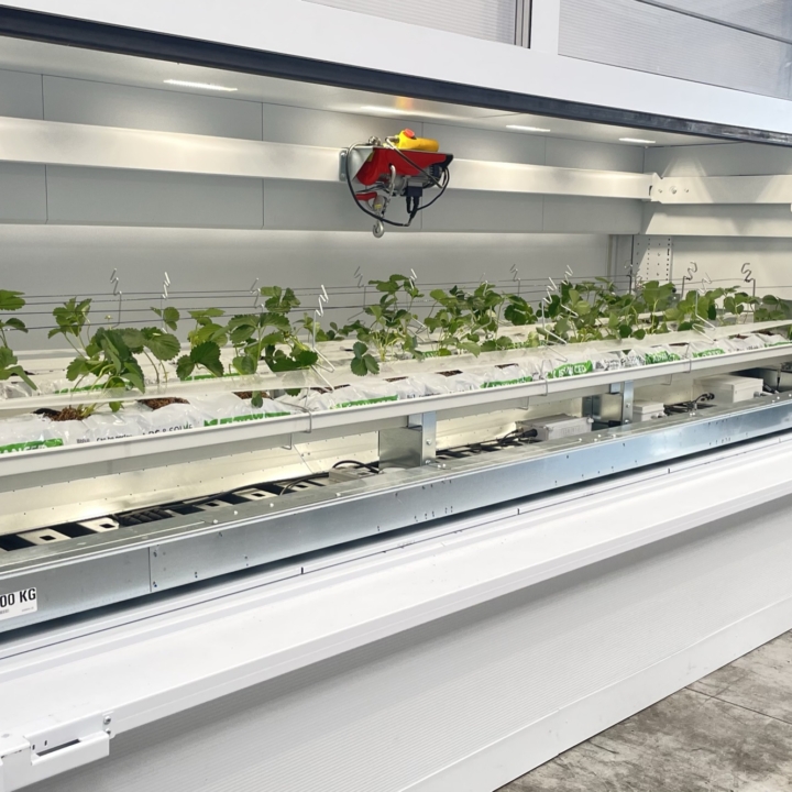 Modula Biotech Tower