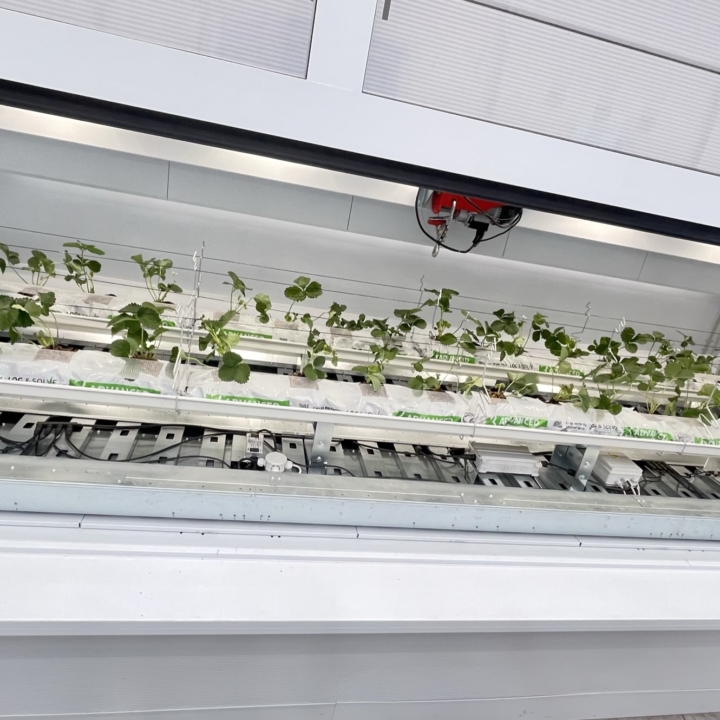 Modula Biotech Tower