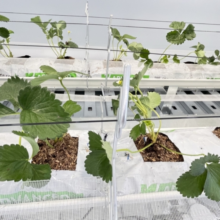 Modula Biotech Tower