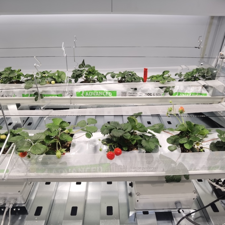 Modula Biotech Tower