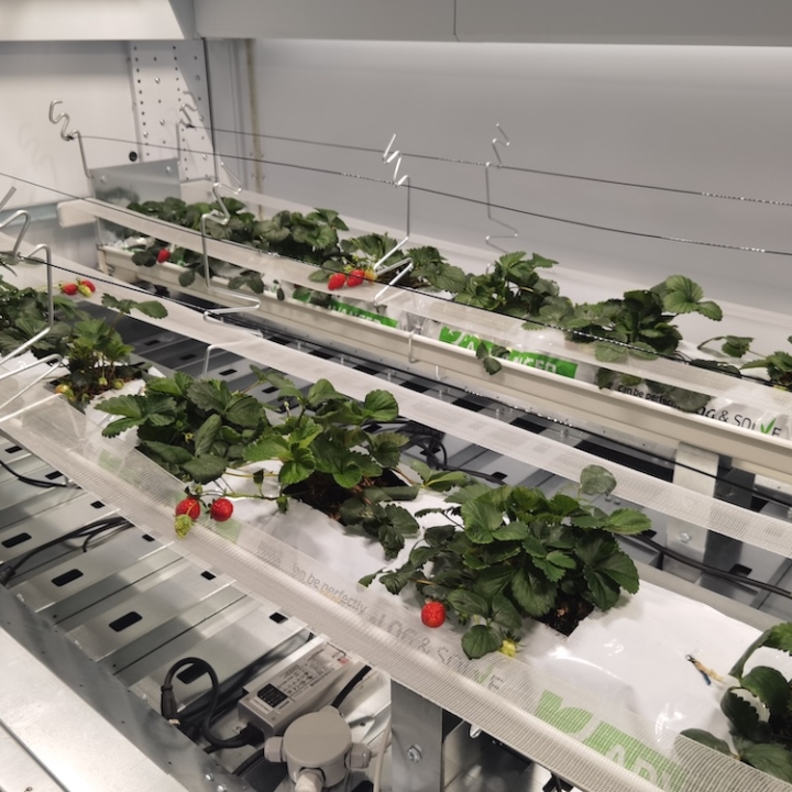 Modula Biotech Tower