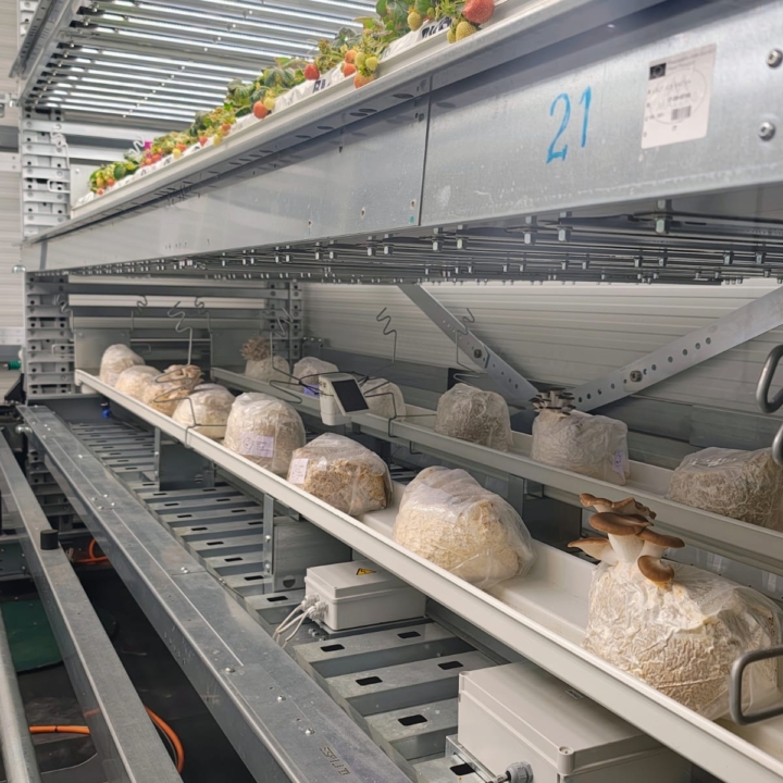 Modula Biotech Tower