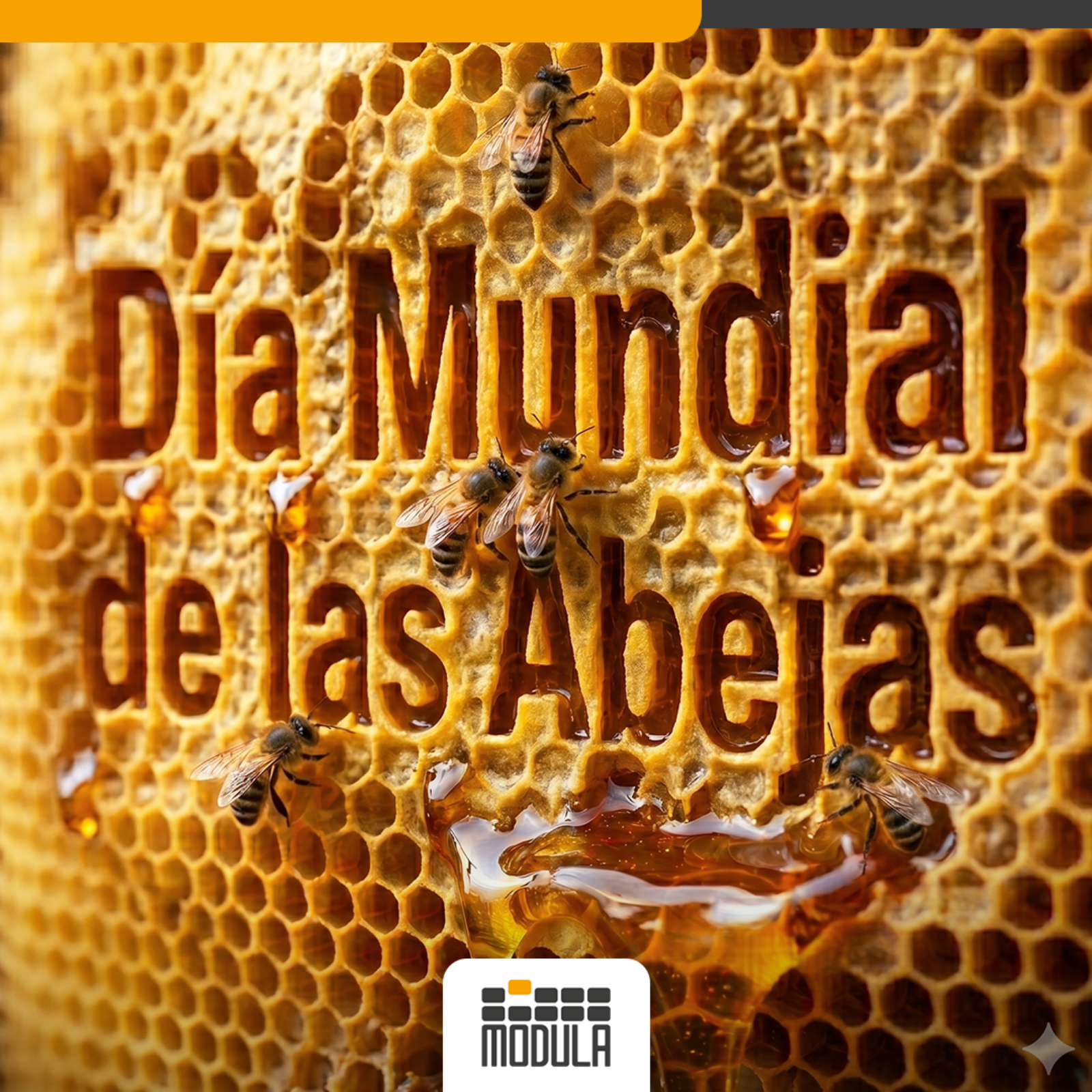 Día_Mundial_de_las_Abejas